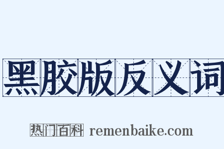 黑胶版反义词是什么意思的图片
